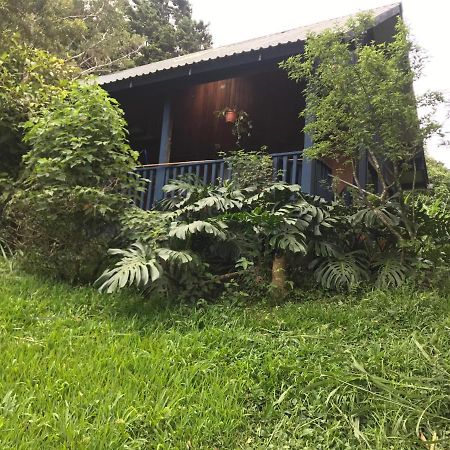 Hotel Casitas Rainy Days Monteverde Esterno foto