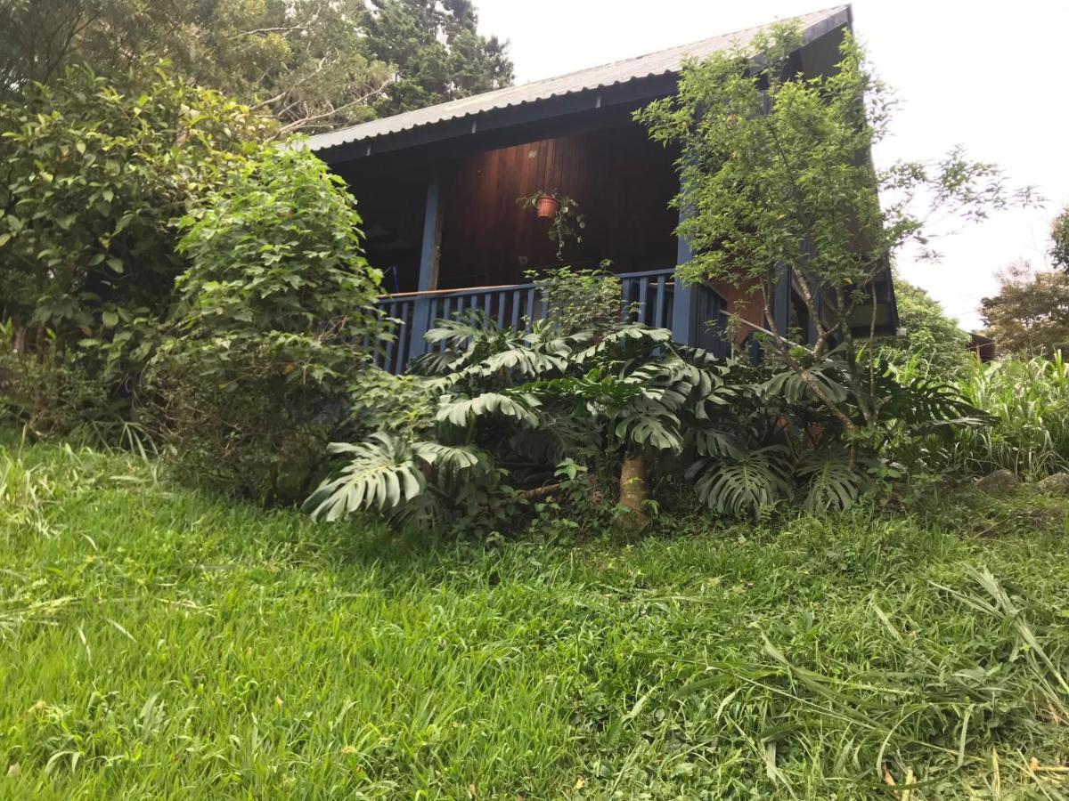 Hotel Casitas Rainy Days Monteverde Esterno foto