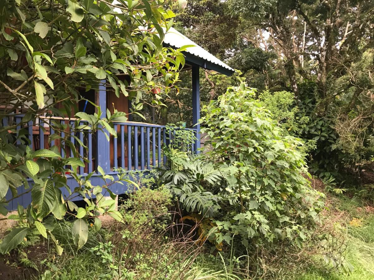 Hotel Casitas Rainy Days Monteverde Esterno foto