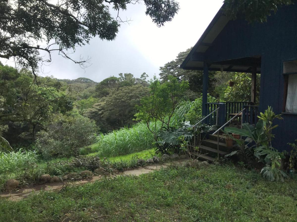 Hotel Casitas Rainy Days Monteverde Esterno foto